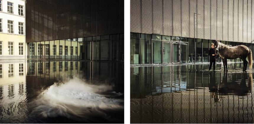 © Bram Goots